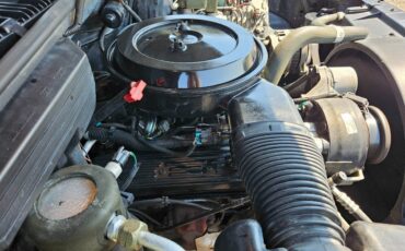 Chevrolet-blazer-1994-14