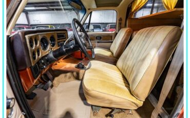 Chevrolet-blazer-cheyenne-chalet-1977-brown-13