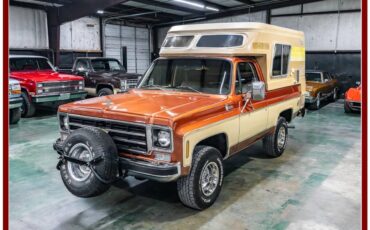 Chevrolet-blazer-cheyenne-chalet-1977-brown-15