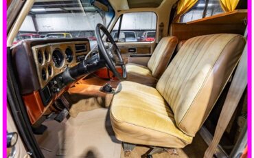 Chevrolet-blazer-cheyenne-chalet-1977-brown-37