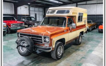 Chevrolet-blazer-cheyenne-chalet-1977-brown-44