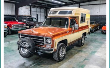 Chevrolet-blazer-cheyenne-chalet-1977-brown-7