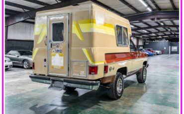 Chevrolet-blazer-cheyenne-chalet-1977-brown-8