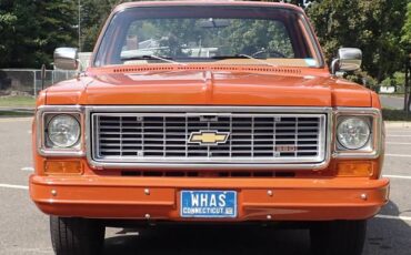 Chevrolet-c-10-1974-brown-10