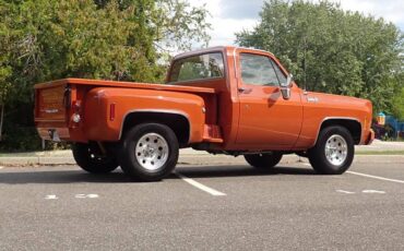Chevrolet-c-10-1974-brown-11