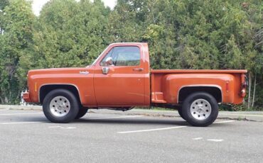 Chevrolet-c-10-1974-brown-12