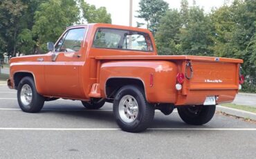 Chevrolet-c-10-1974-brown-13
