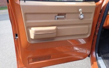 Chevrolet-c-10-1974-brown-16