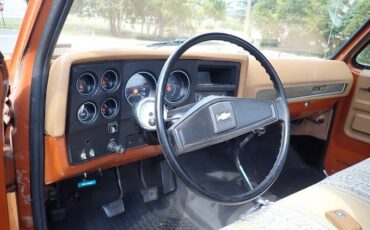 Chevrolet-c-10-1974-brown-19
