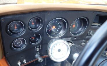 Chevrolet-c-10-1974-brown-20
