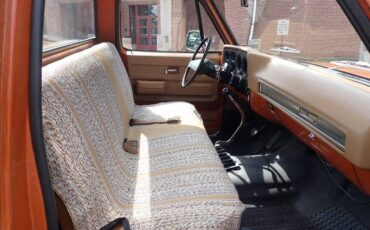 Chevrolet-c-10-1974-brown-22