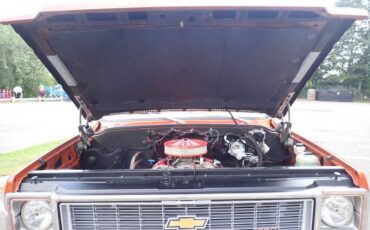 Chevrolet-c-10-1974-brown-23
