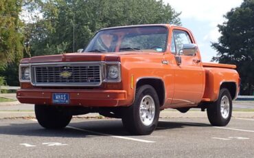 Chevrolet-c-10-1974-brown