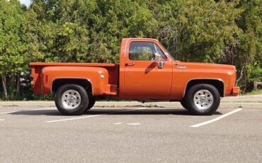 Chevrolet-c-10-1974-brown-8