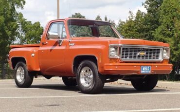 Chevrolet-c-10-1974-brown-9