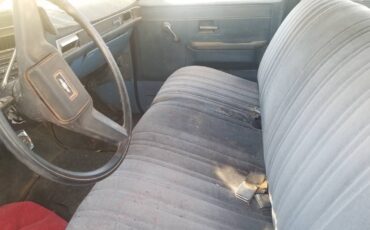 Chevrolet-c-20-33-1982-1