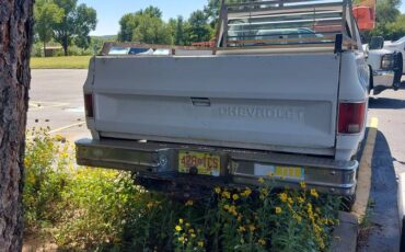 Chevrolet-c-2500-1985-white-11