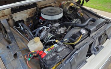Chevrolet-c10-1966-white-19