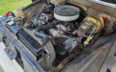 Chevrolet-c10-1966-white-20