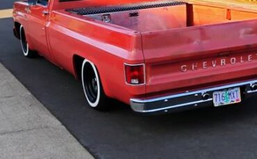 Chevrolet-c10-1977-13