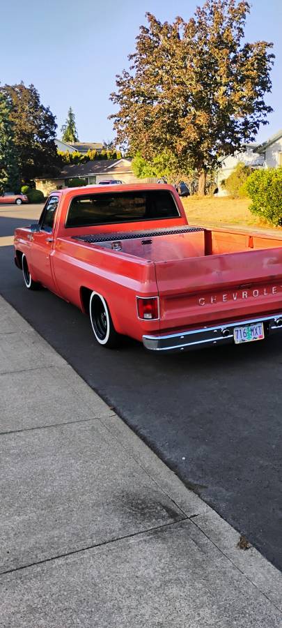 Chevrolet-c10-1977-13