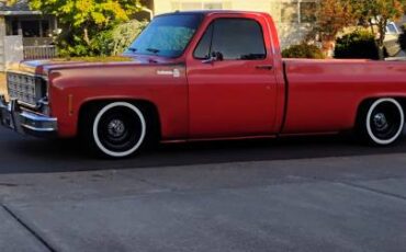 Chevrolet-c10-1977-14