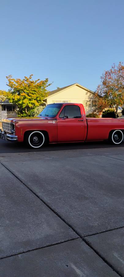 Chevrolet-c10-1977-14