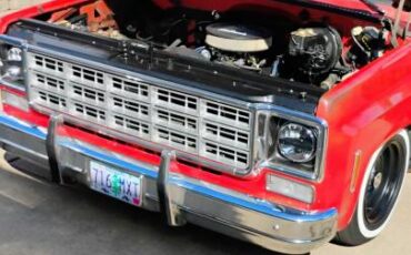 Chevrolet-c10-1977-19