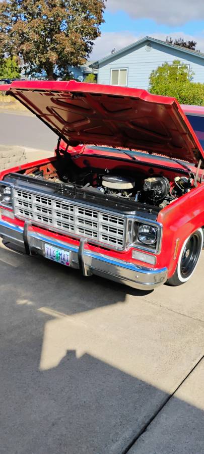 Chevrolet-c10-1977-19