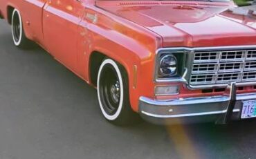 Chevrolet-c10-1977-4