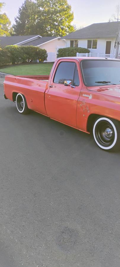 Chevrolet-c10-1977-5