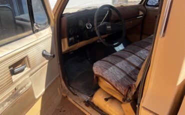 Chevrolet-c10-longbed-1977-6
