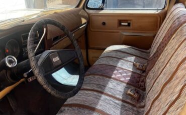 Chevrolet-c10-longbed-1977-7