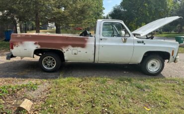 Chevrolet-c10-longbed-1980-white-2