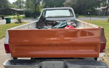 Chevrolet-c10-longbed-1980-white-3