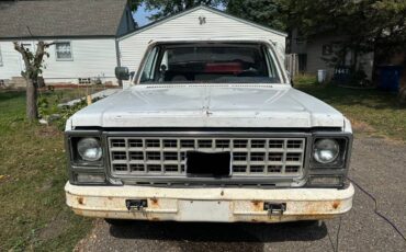 Chevrolet-c10-longbed-1980-white
