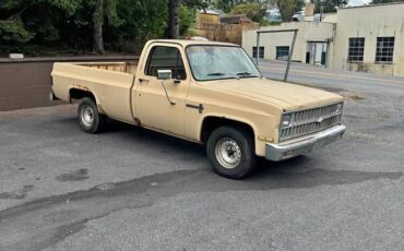 Chevrolet-c10-longbed-1982-brown-1