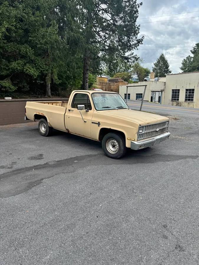 Chevrolet-c10-longbed-1982-brown-1