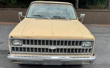 Chevrolet-c10-longbed-1982-brown-2