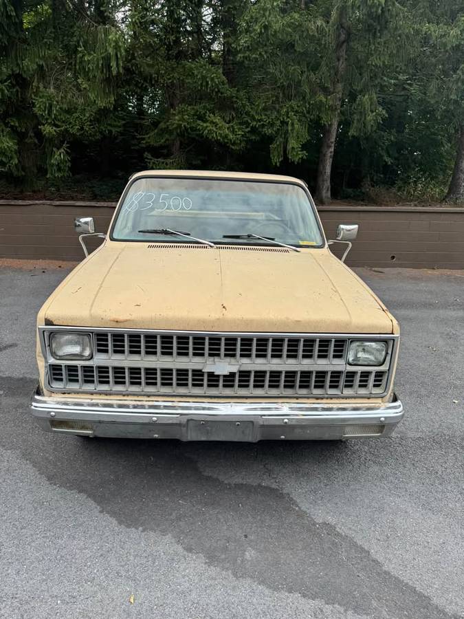 Chevrolet-c10-longbed-1982-brown-2