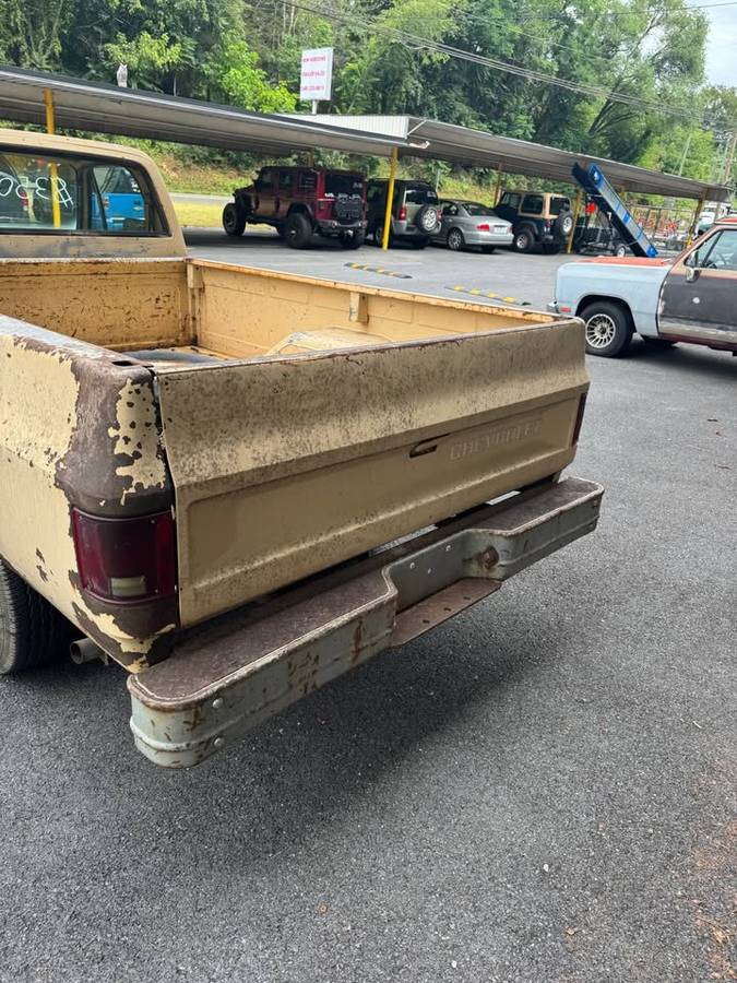 Chevrolet-c10-longbed-1982-brown-3
