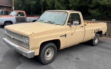 Chevrolet-c10-longbed-1982-brown