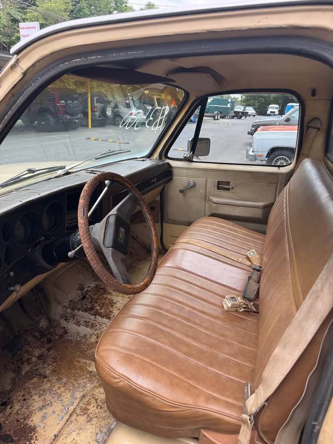 Chevrolet-c10-longbed-1982-brown-4