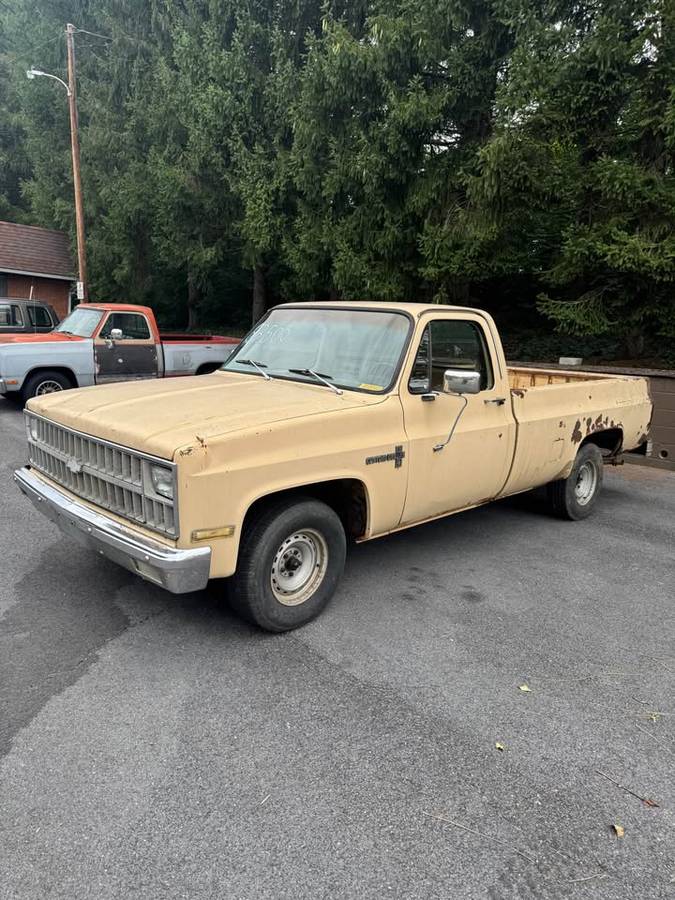 Chevrolet-c10-longbed-1982-brown