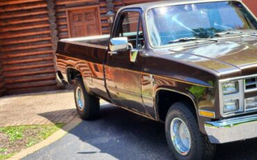 Chevrolet-c10-longbed-1985-brown-1