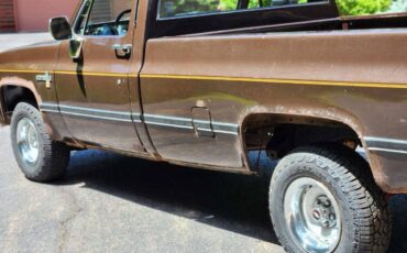 Chevrolet-c10-longbed-1985-brown-2