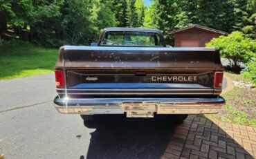 Chevrolet-c10-longbed-1985-brown-3