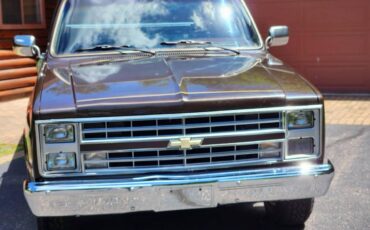 Chevrolet-c10-longbed-1985-brown-4