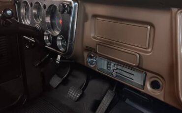Chevrolet-c10-panel-truck-1969-green-12