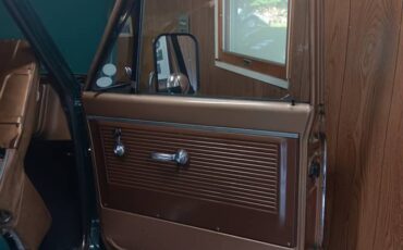 Chevrolet-c10-panel-truck-1969-green-17
